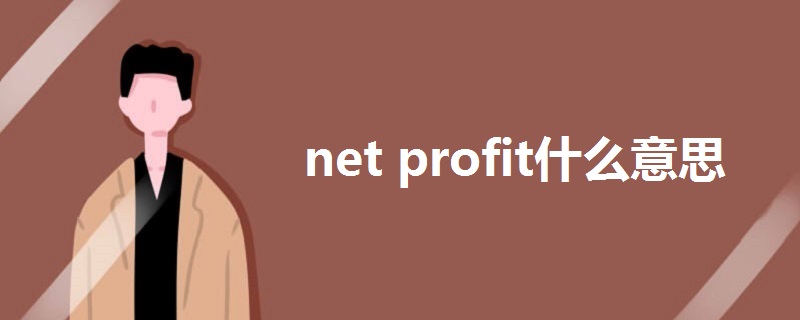 net profit什么意思