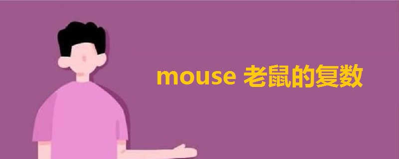 mouse老鼠的复数