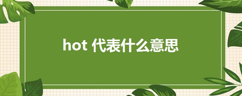 hot代表什么意思