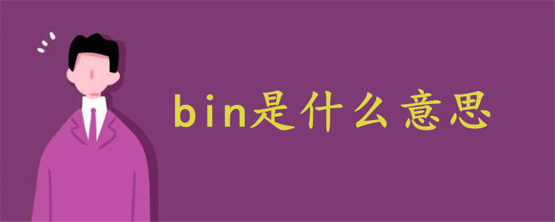 bin是什么意思