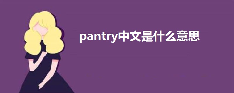 pantry中文是什么意思