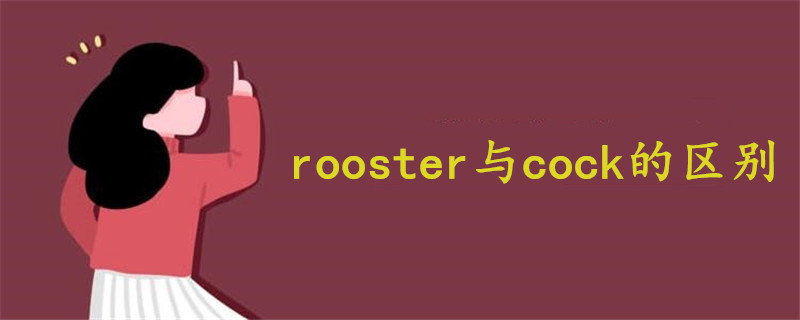 rooster与cock的区别