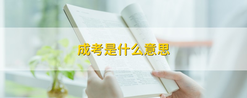 成考是什么意思