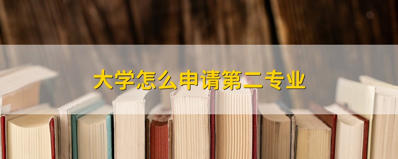 大学怎么申请第二专业