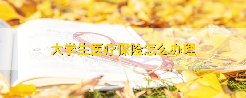 大学生医疗保险怎么办理