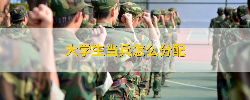 大学生当兵怎么分配