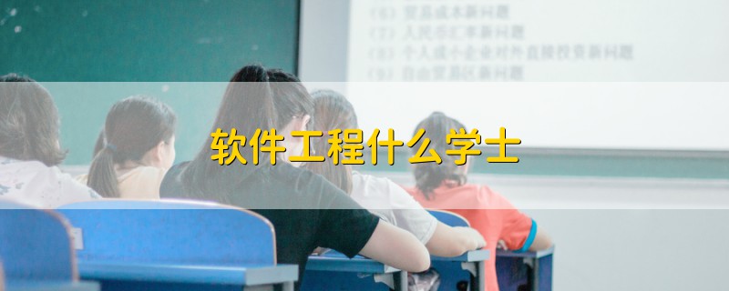 软件工程什么学士