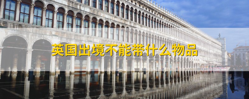 英国出境不能带什么物品