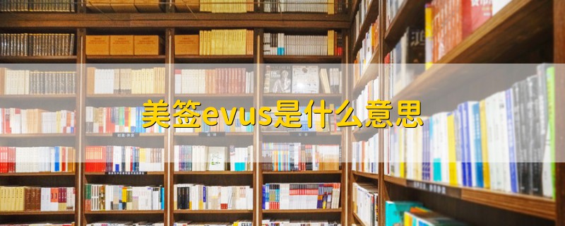 美签evus是什么意思