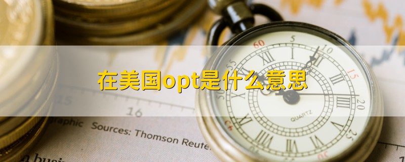 在美国opt是什么意思