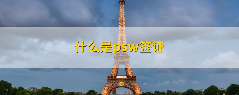 什么是psw签证