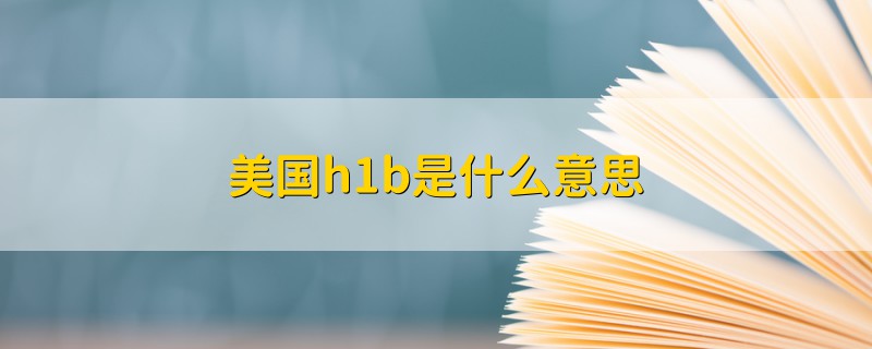 美国h1b是什么意思