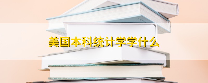 美国本科统计学学什么