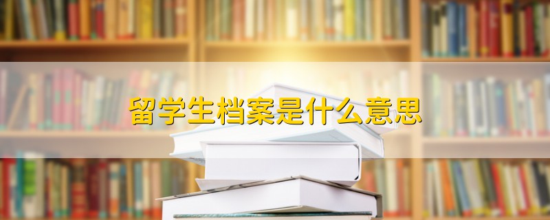 留学生档案是什么意思