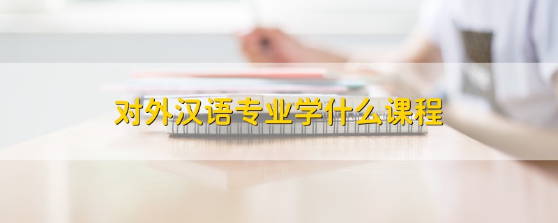 对外汉语专业学什么课程