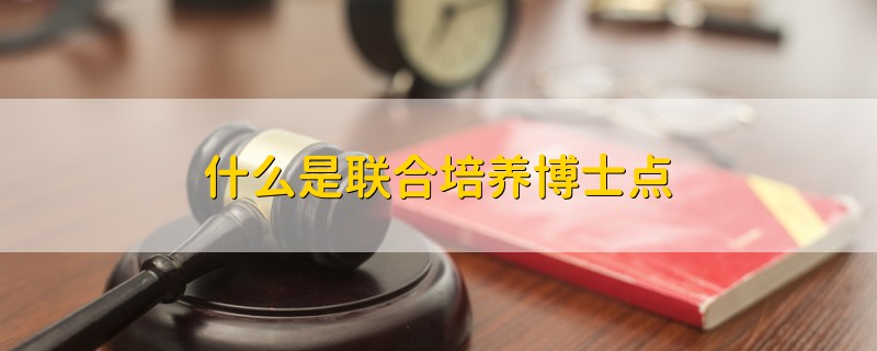 什么是联合培养博士点