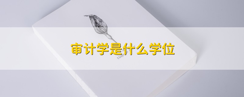 审计学是什么学位