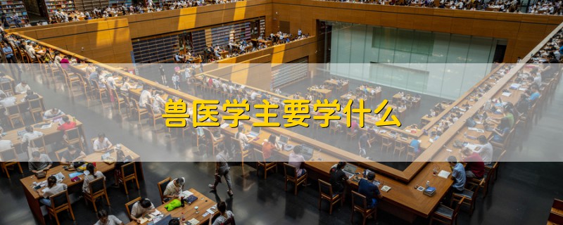 兽医学主要学什么