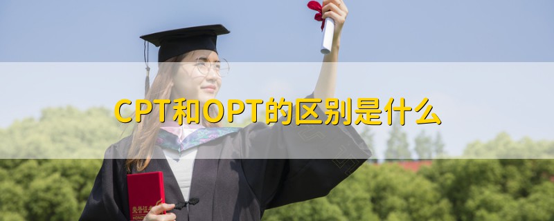 CPT和OPT的区别是什么