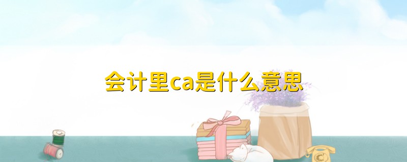 会计里ca是什么意思