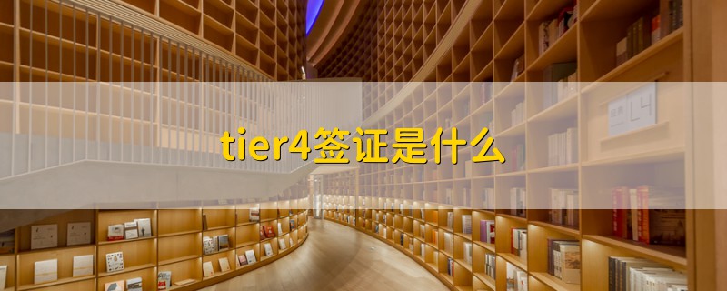 tier4签证是什么