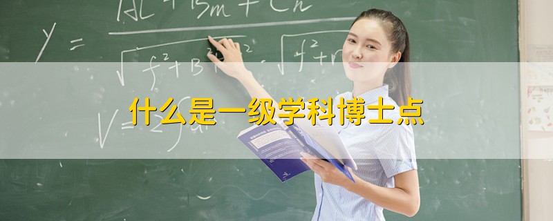 什么是一级学科博士点