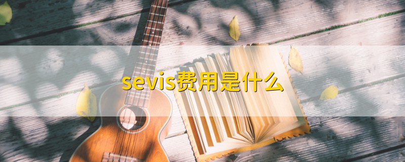 sevis费用是什么