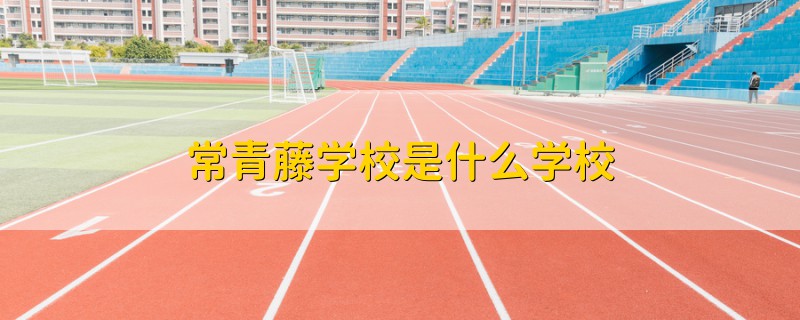 常青藤学校是什么学校