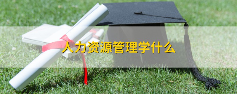 人力资源管理学什么