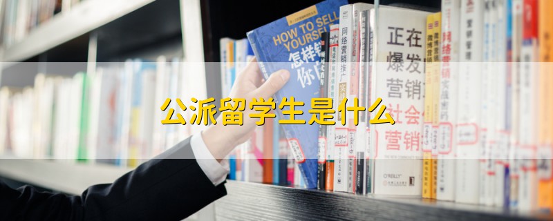 公派留学生是什么