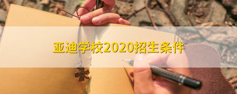 亚迪学校2020招生条件