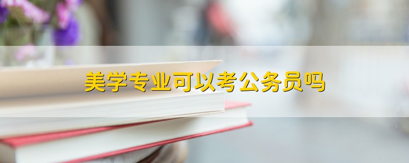 美学专业可以考公务员吗