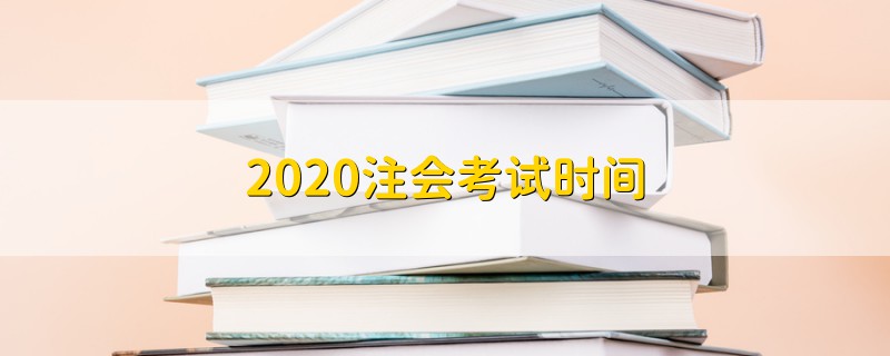 2020注会考试时间