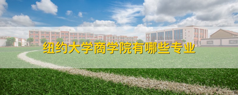 纽约大学商学院有哪些专业