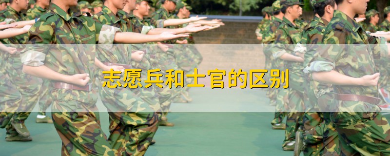 志愿兵和士官的区别