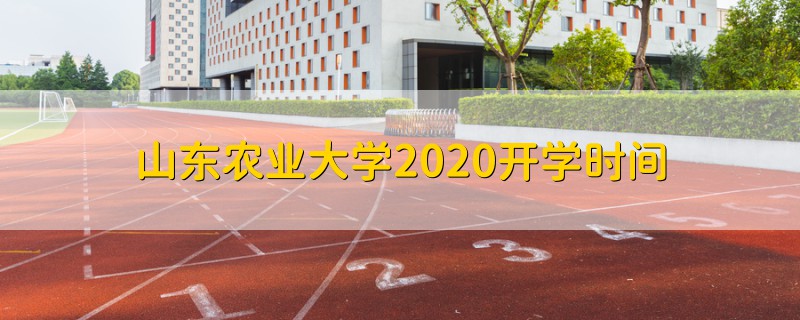 山东农业大学2020开学时间