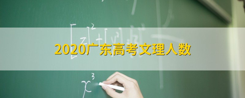 2020广东高考文理人数