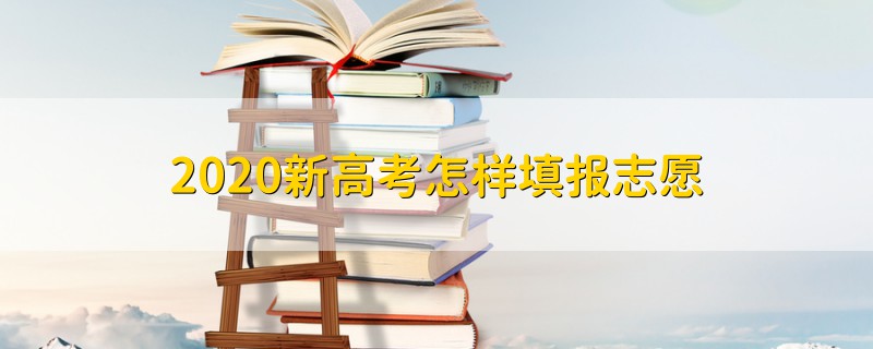 2020新高考怎样填报志愿