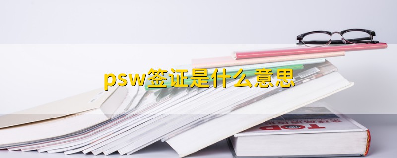 psw签证是什么意思