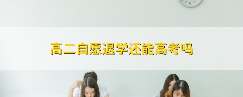 高二自愿退学还能高考吗