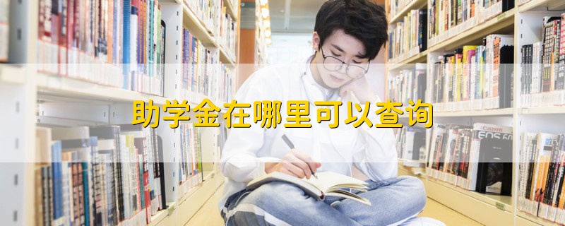 助学金在哪里可以查询