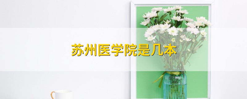 苏州医学院是几本