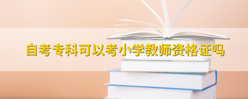 自考专科可以考小学教师资格证吗