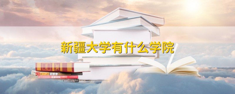 新疆大学有什么学院