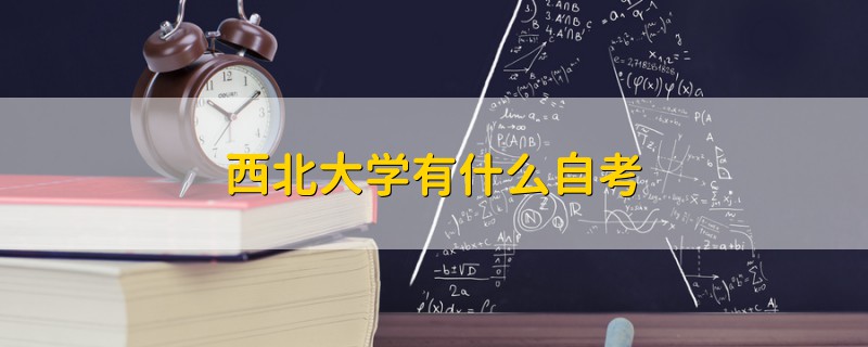 西北大学有什么自考