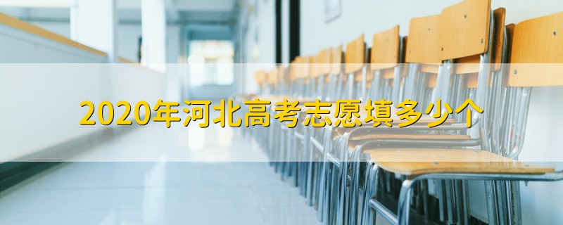 2020年河北高考志愿填多少个