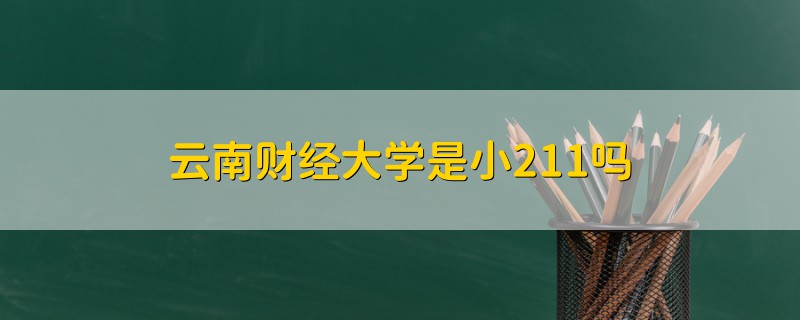 云南财经大学是小211吗