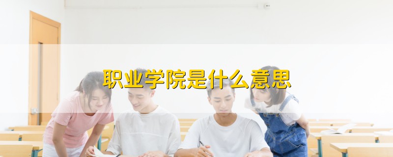 职业学院是什么意思