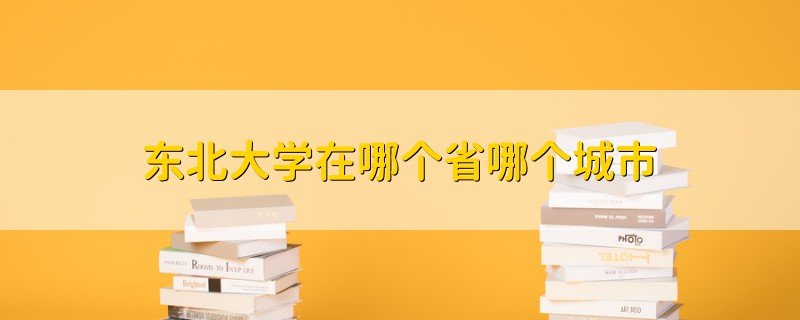 东北大学在哪个省哪个城市