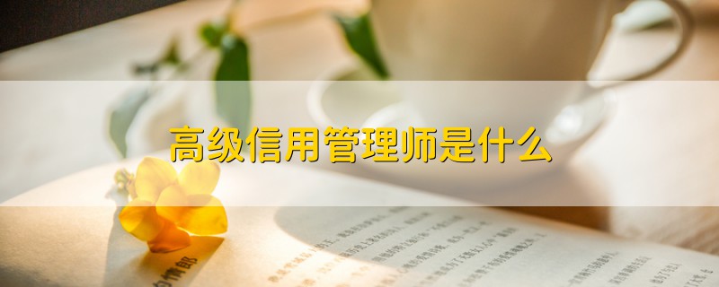 高级信用管理师是什么